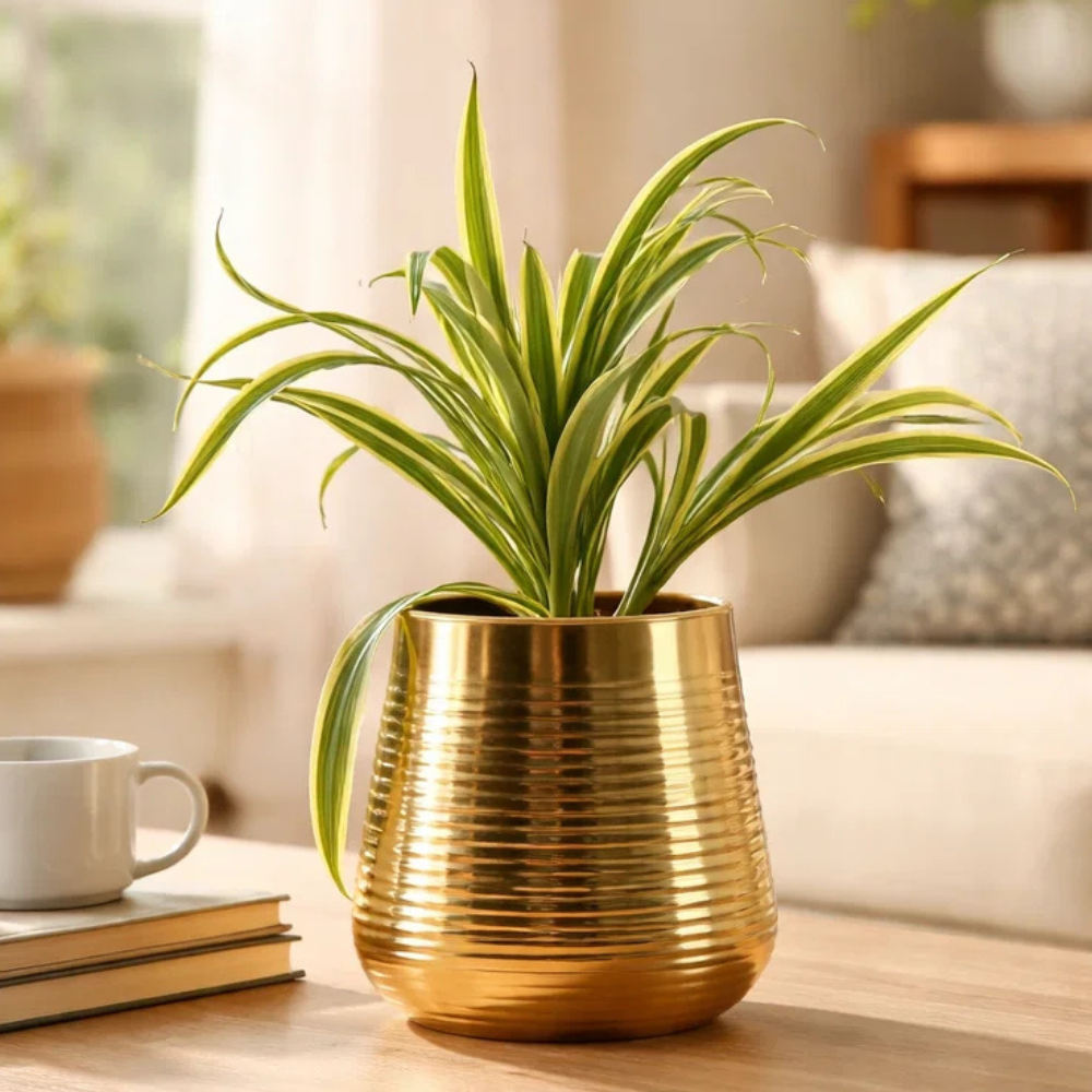 Golden Ribbed Metal Planter Pot – Premium Decorative Indoor Plant Holder for Tabletop & Living Room Décor