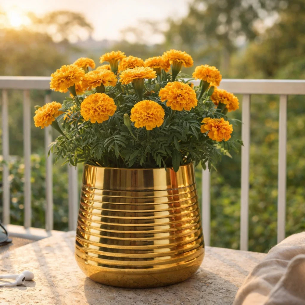 Golden Ribbed Metal Planter Pot – Premium Decorative Indoor Plant Holder for Tabletop & Living Room Décor