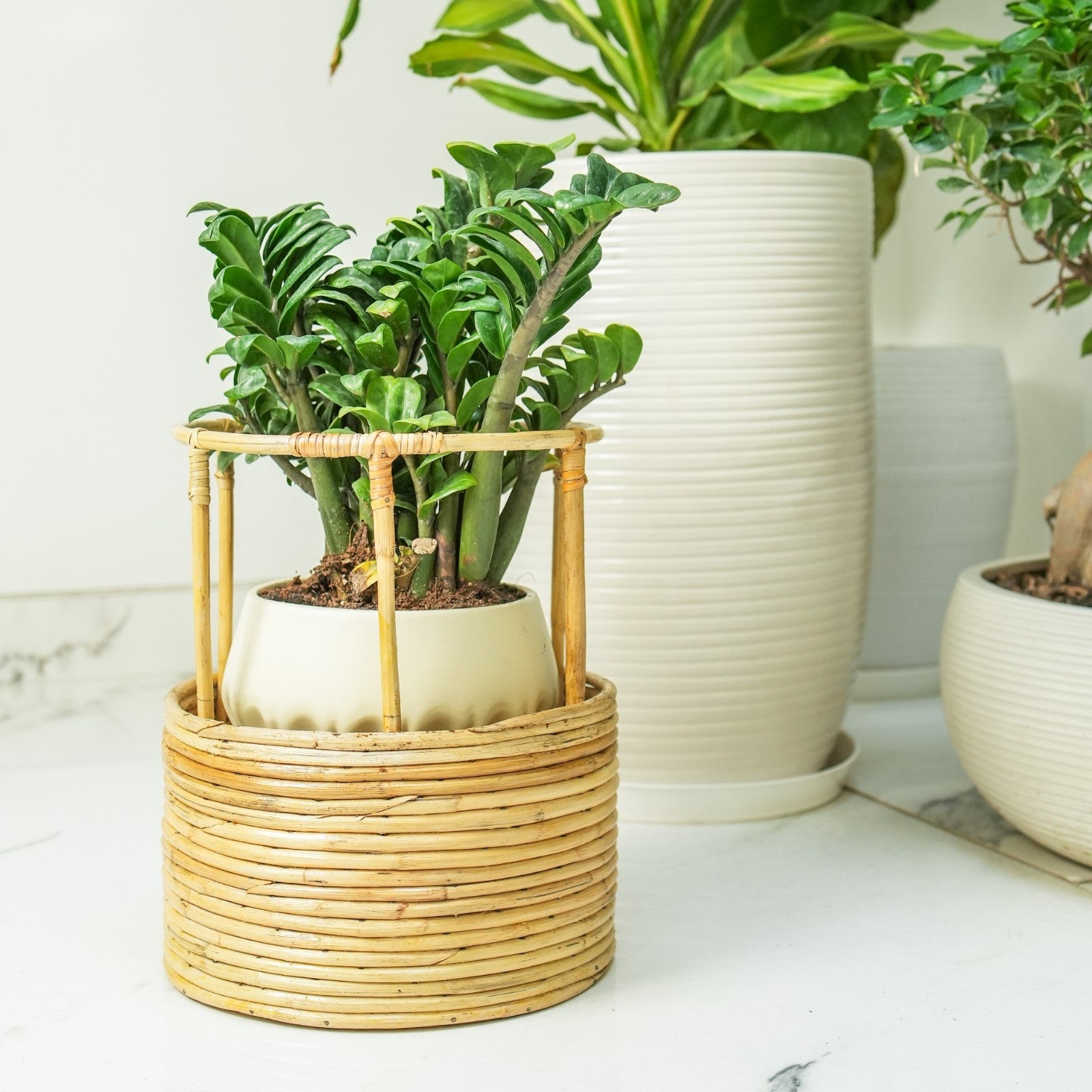 Rattan Round Handmade Planter Stand – Compact Indoor Plant Holder