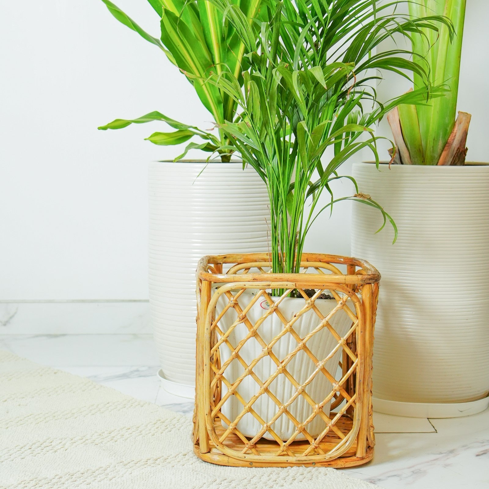 Rattan Square Planter Basket – Stylish Indoor Pot Holder