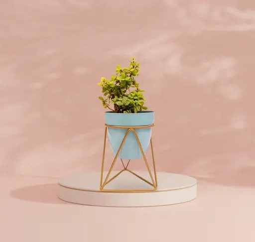 Modern Black & Gold Metal Planter – Stylish Indoor Decor