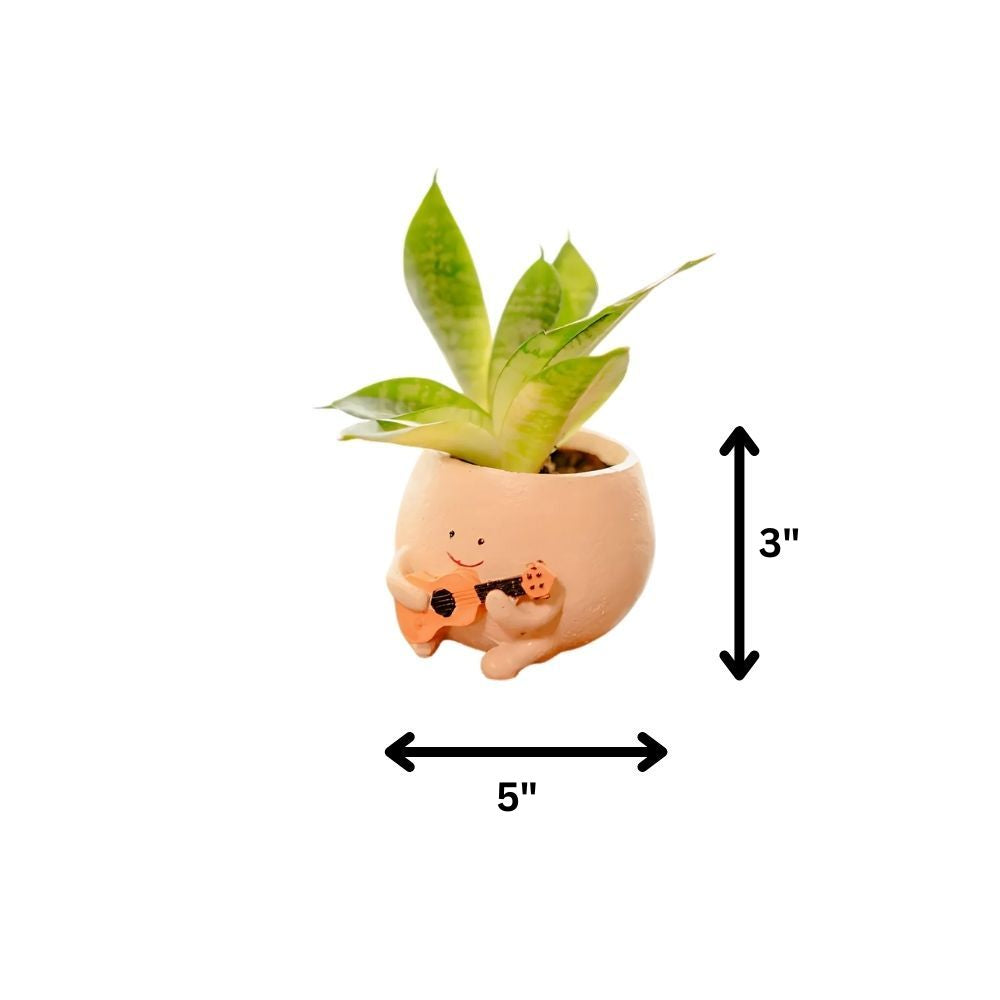 Charming Jazzy Guitar Planter For Indoor Plants and Desk Decor