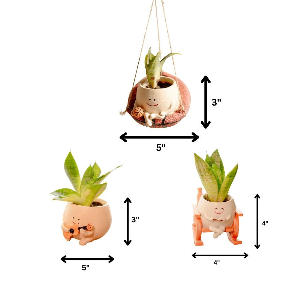 The Joyful Swing Set Planter Trio - Music, Reading & Play
