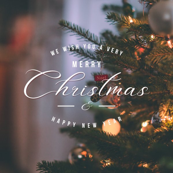 Nestern Gift Card for all Occasions - Nestern