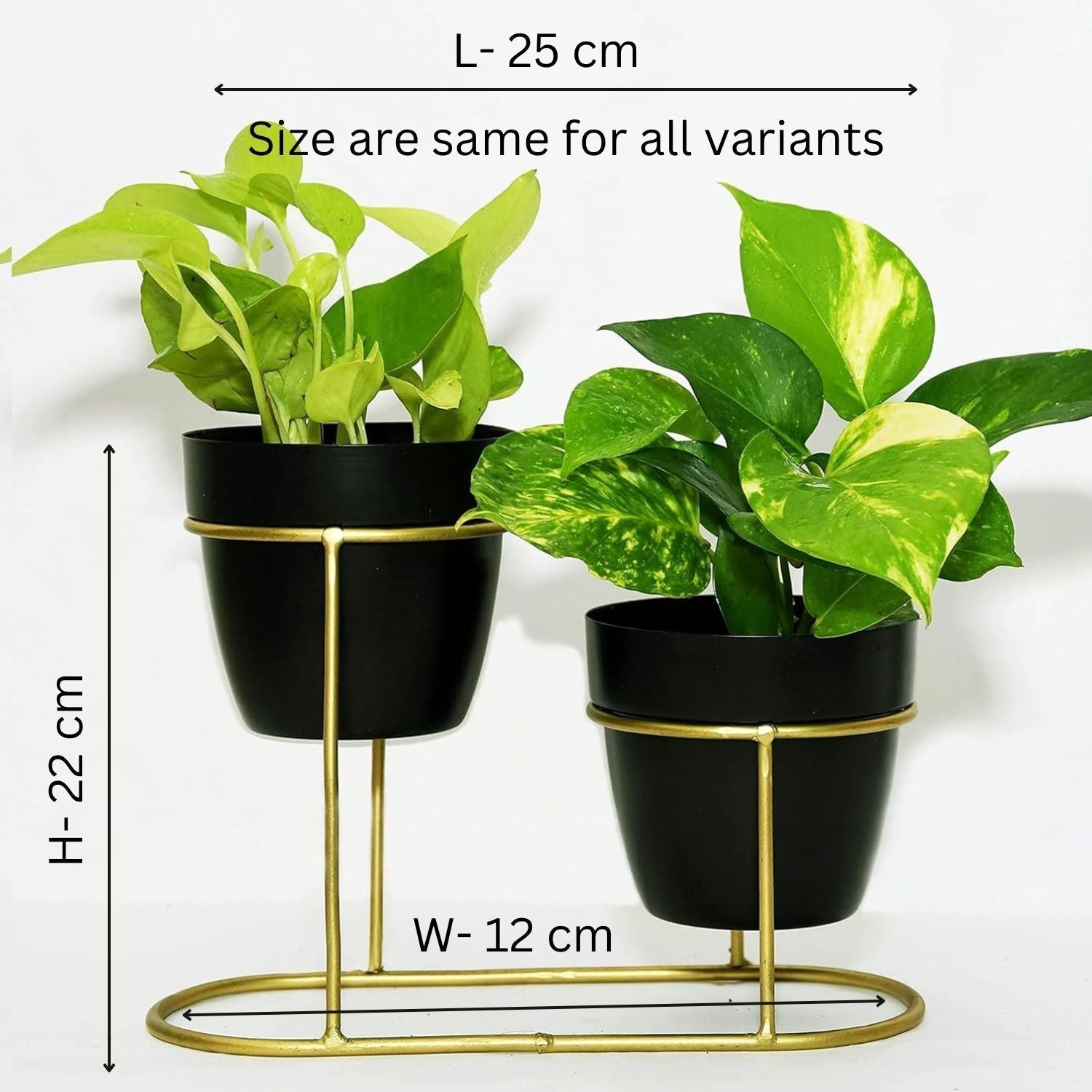 Modern Metal Plant Stand with Dual Black Pots – Elegant Decor