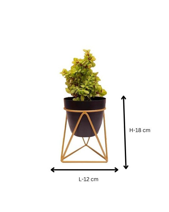 Modern Black & Gold Metal Planter – Stylish Indoor Decor