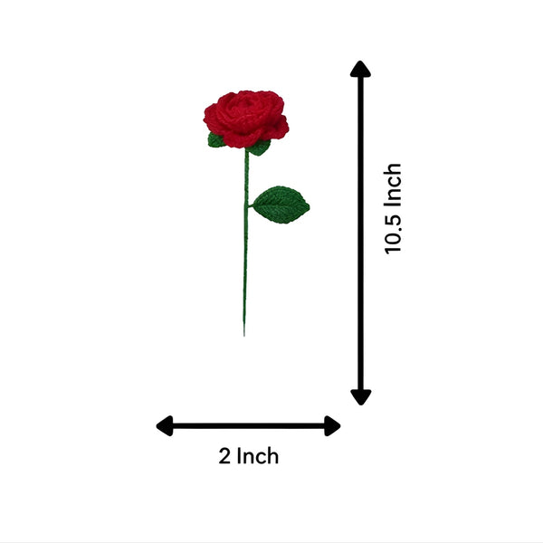 gid://shopify/MediaImage/54821634769205