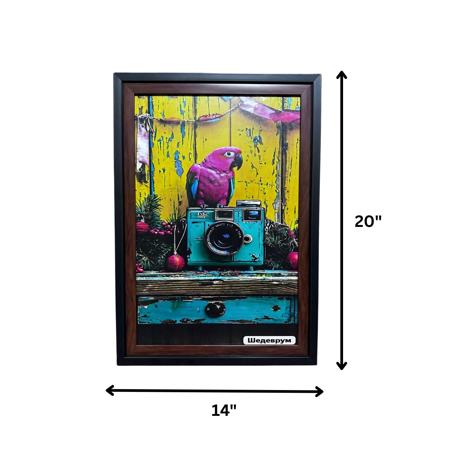 Colorful Parrot On Vintage Camera - Retro Artistic Wall Decor