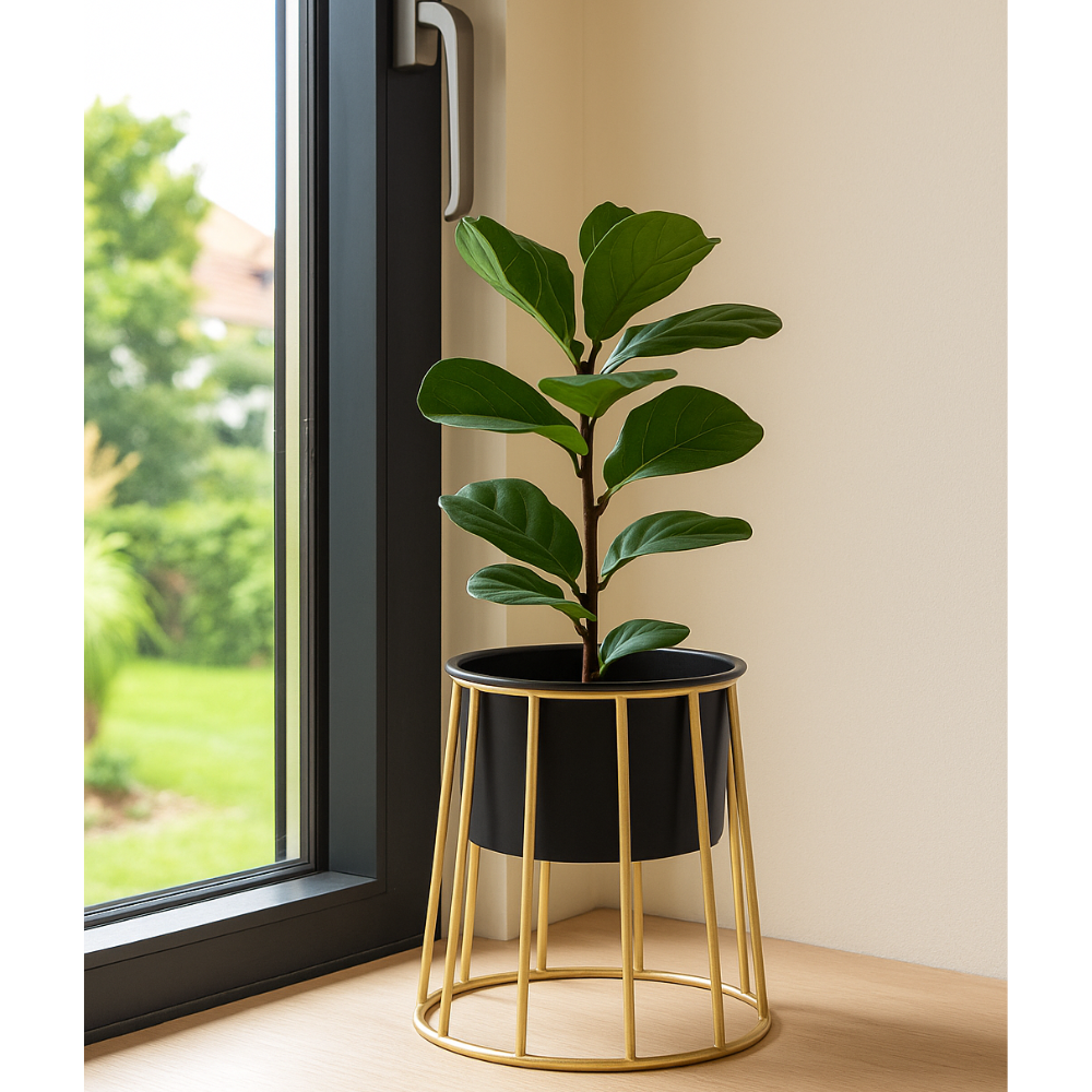 Modern Black Planter with Golden Metal Stand – Stylish Indoor Decor Pot
