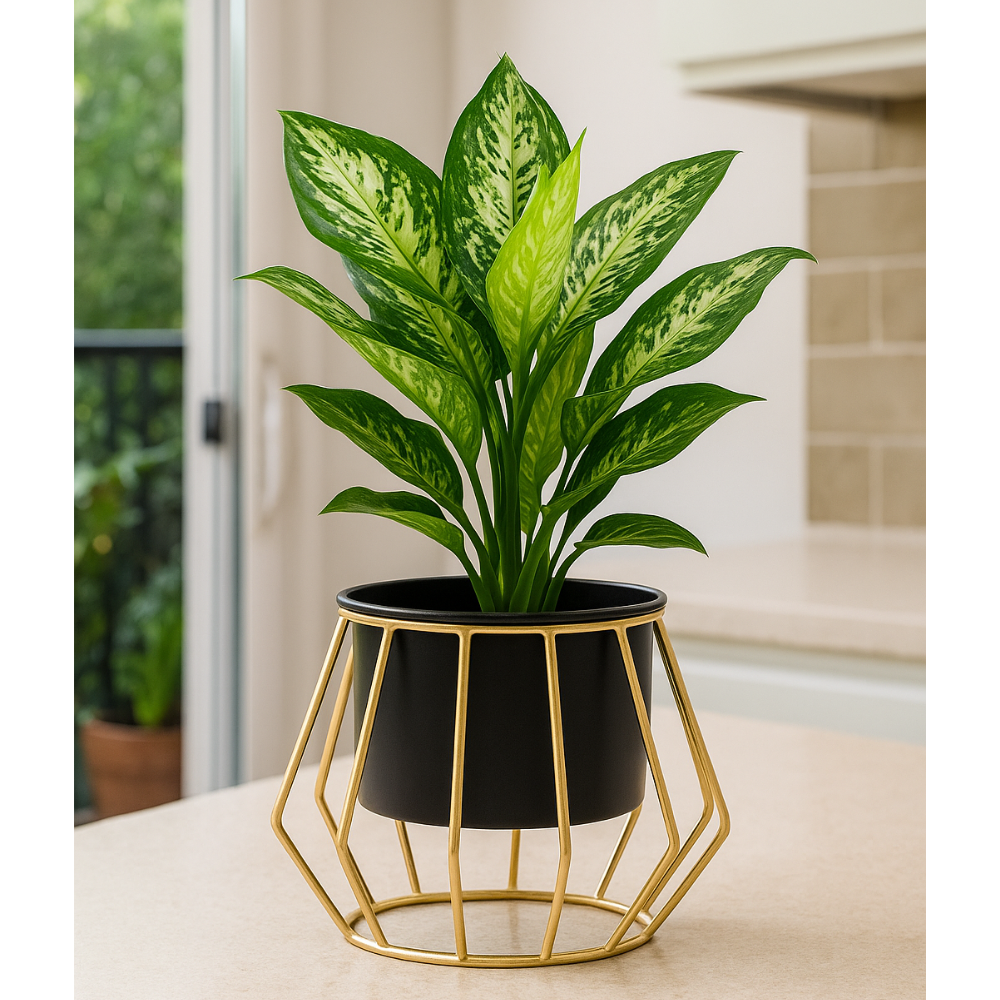 Geometric Gold Metal Stand Planter with Pot – Modern Indoor Plant Holder