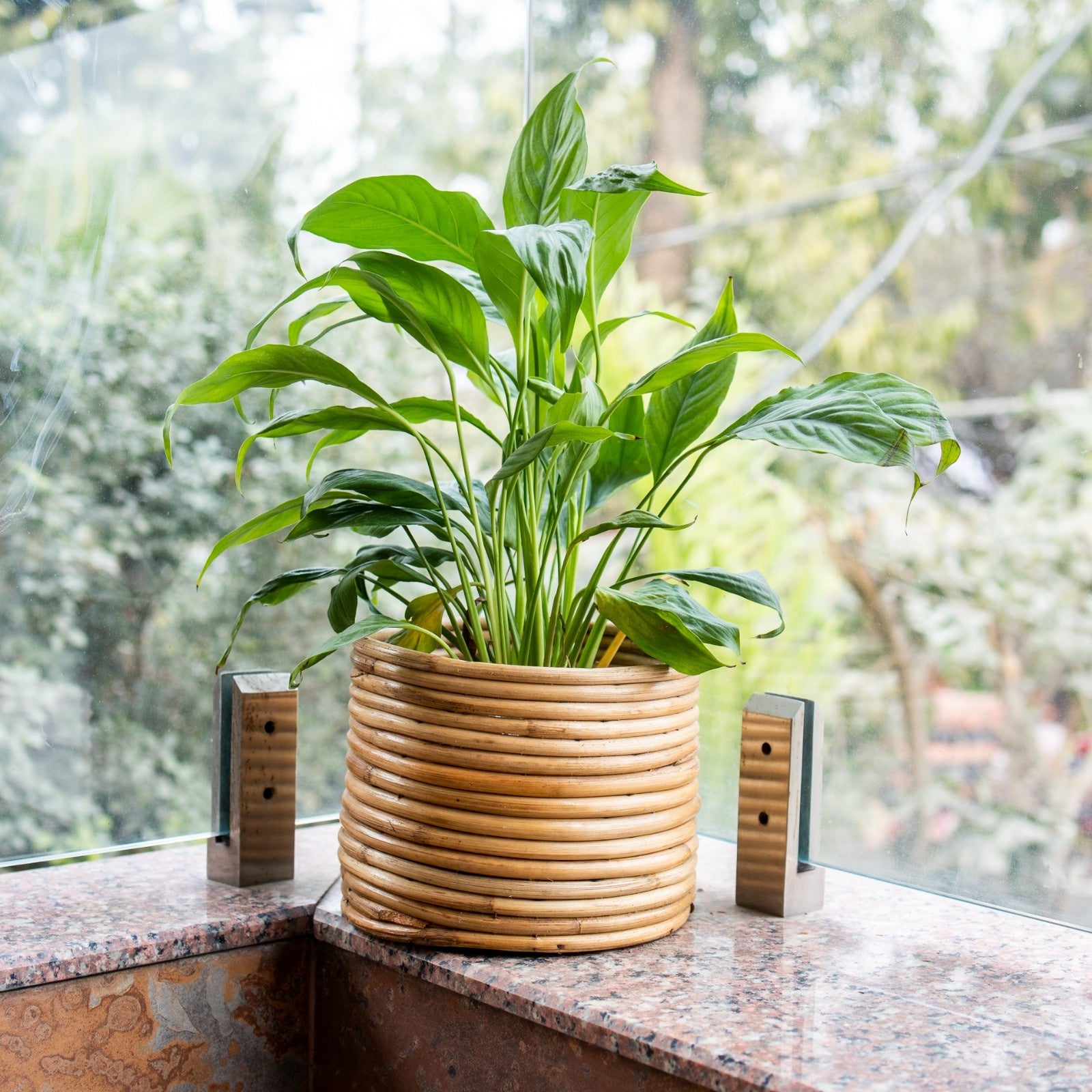 Handcrafted Rattan Planter Basket for Indoor Plants and Décor