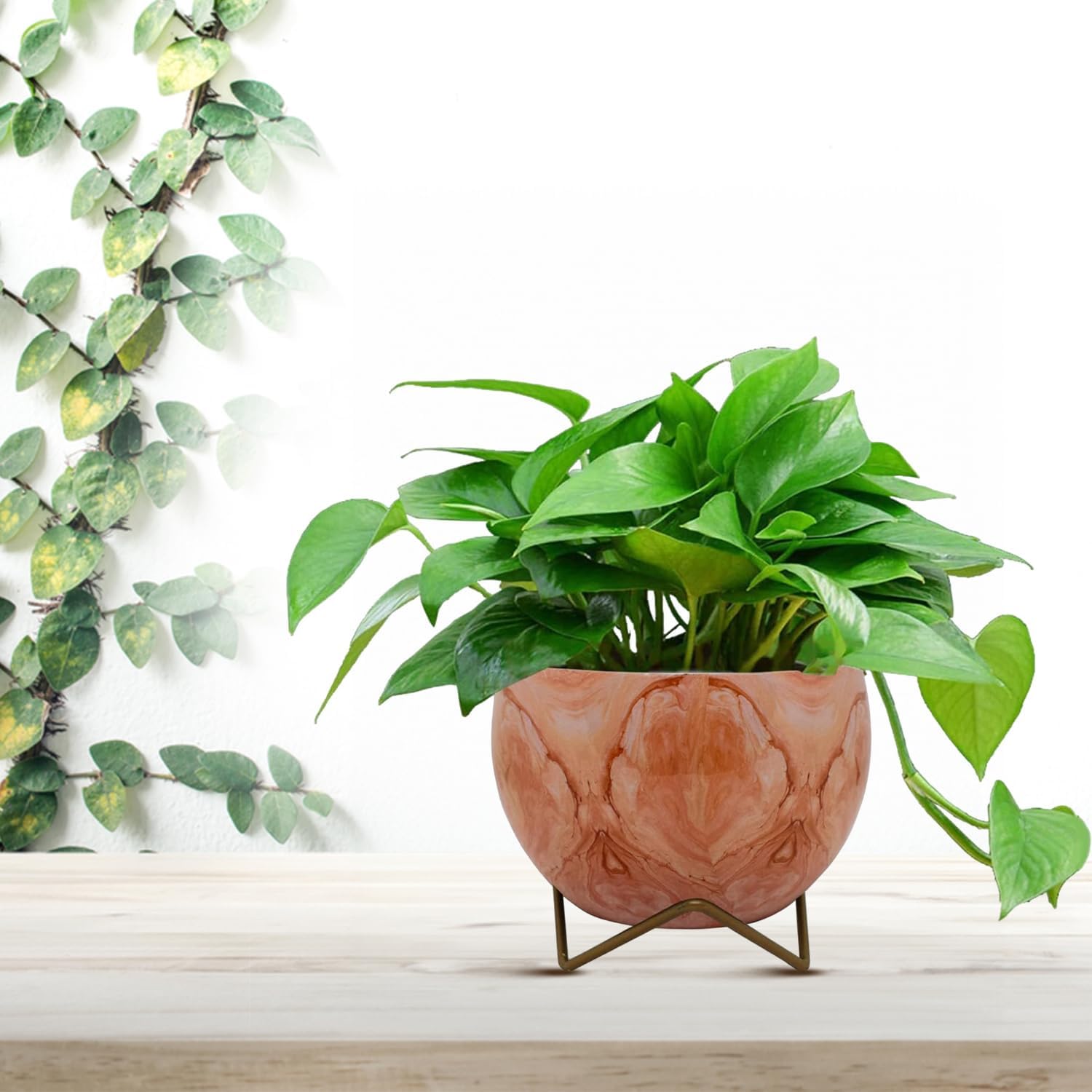 Bright 5" Orchid Pot - Orange Print Design with Stand - Nestern
