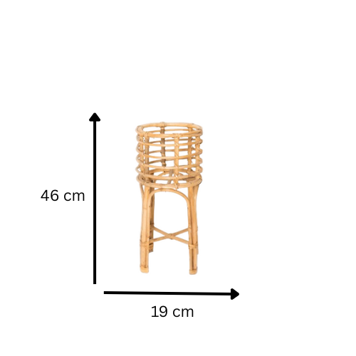 gid://shopify/MediaImage/53209174409525
