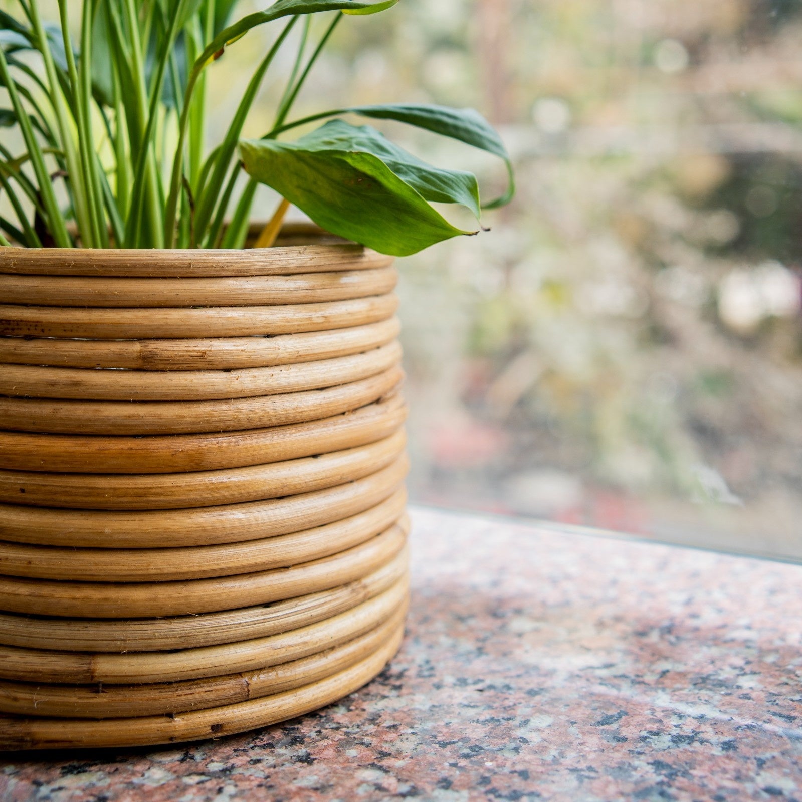 Handcrafted Rattan Planter Basket for Indoor Plants and Décor
