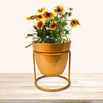 Modern Minimalist Metal Plant Stand with Planter