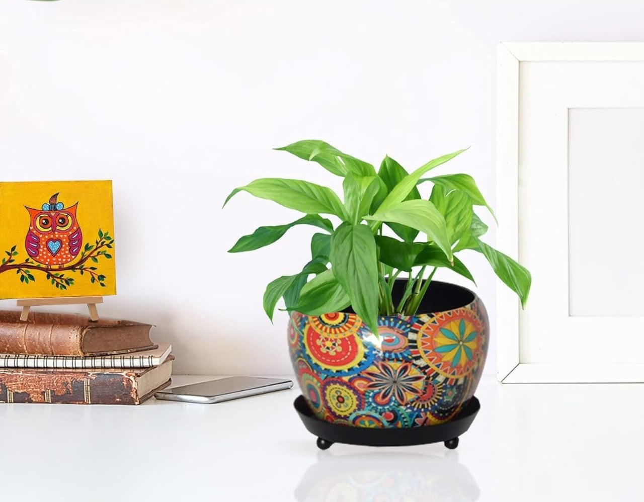 Vibrant Ceramic Planter with Tray – Boho Chic Flower Pot