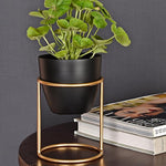 Modern Minimalist Metal Plant Stand with Planter