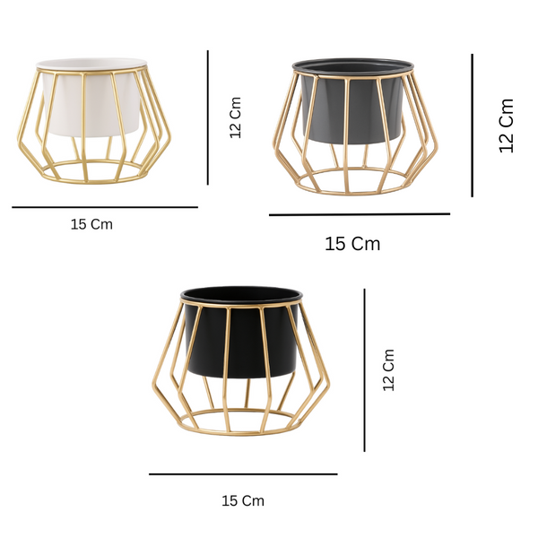gid://shopify/MediaImage/52931147104565