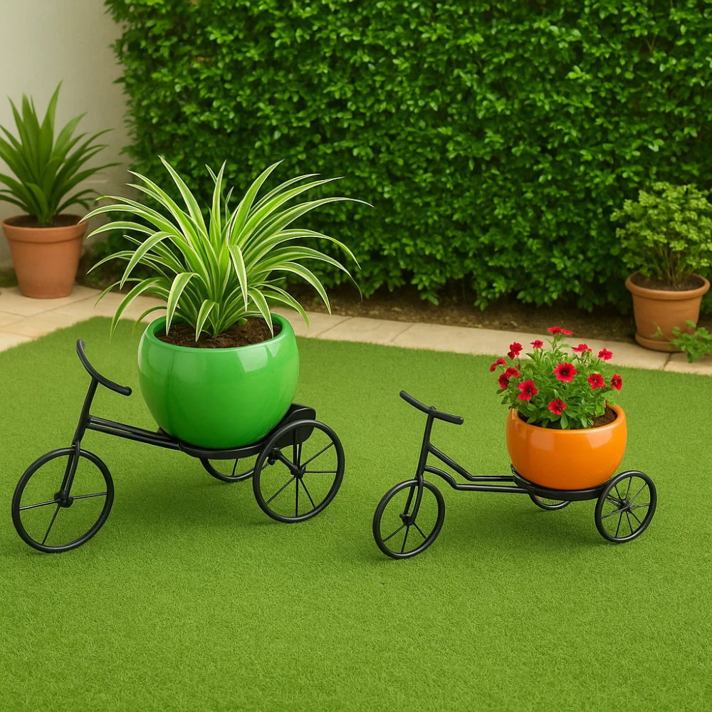 Unique Iron Rickshaw with Orchid Pot - Set of 2