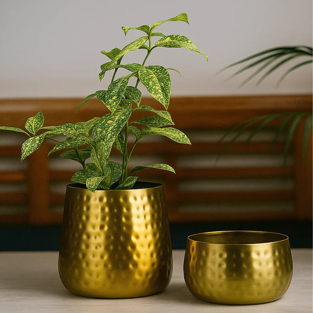 Stylish Iron Taper Pot and Dish Pot - Set of 2