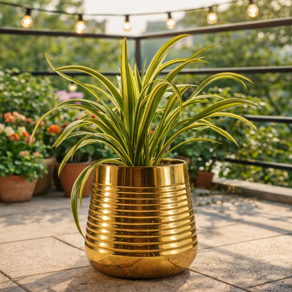 Golden Ribbed Metal Planter Pot – Premium Decorative Indoor Plant Holder for Tabletop & Living Room Décor