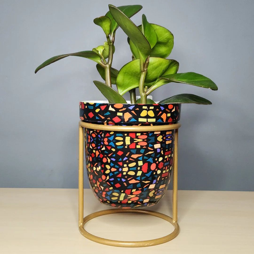 Chic Planter with Gold Stand – Stylish Home Accent