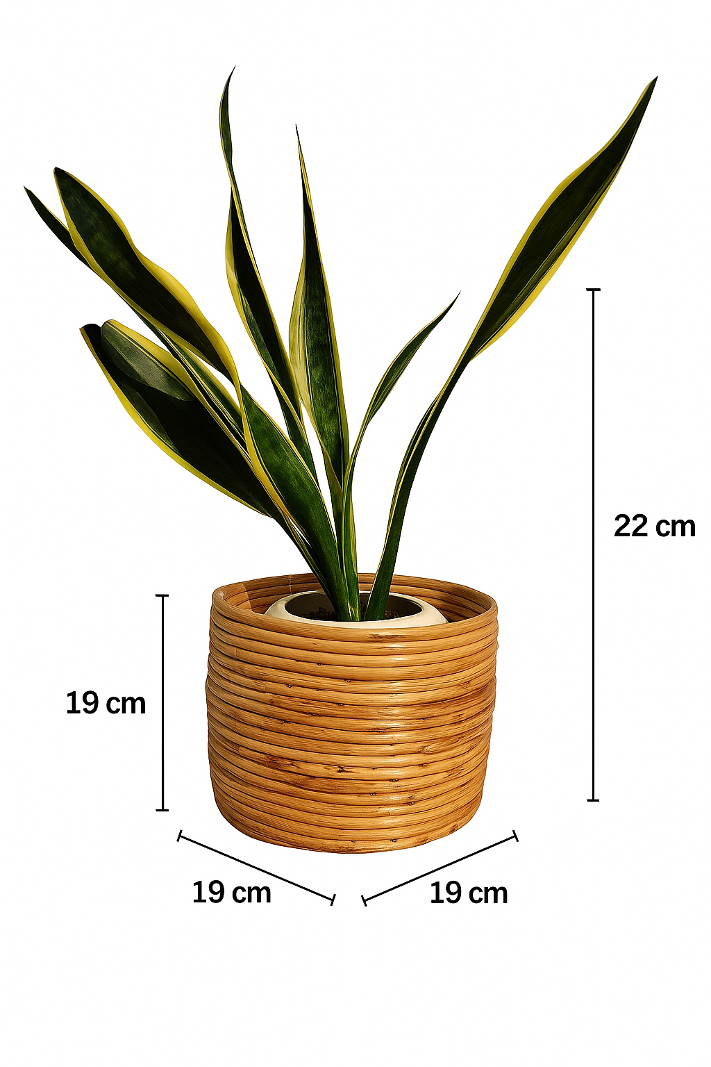 Handcrafted Rattan Planter Basket for Indoor Plants and Décor